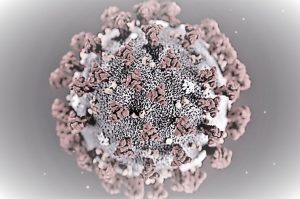 The ultrastructural morphology exhibited by the 2019 Novel Coronavirus (2019-nCoV), which was identified as the cause of an outbreak of respiratory illness first detected in Wuhan, China, is seen in an illustration released by the Centers for Disease Control and Prevention (CDC) in Atlanta, Georgia, U.S. January 29, 2020. Alissa Eckert, MS; Dan Higgins, MAM/CDC/Handout via REUTERS. THIS IMAGE HAS BEEN SUPPLIED BY A THIRD PARTY. MANDATORY CREDIT - RC2WPE9DIU7K
